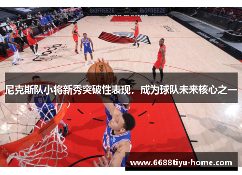 尼克斯队小将新秀突破性表现，成为球队未来核心之一