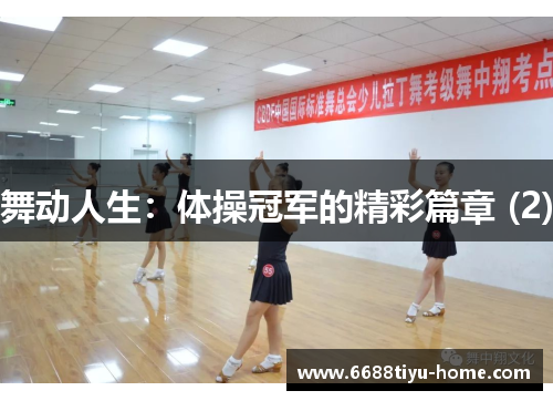 舞动人生：体操冠军的精彩篇章 (2)